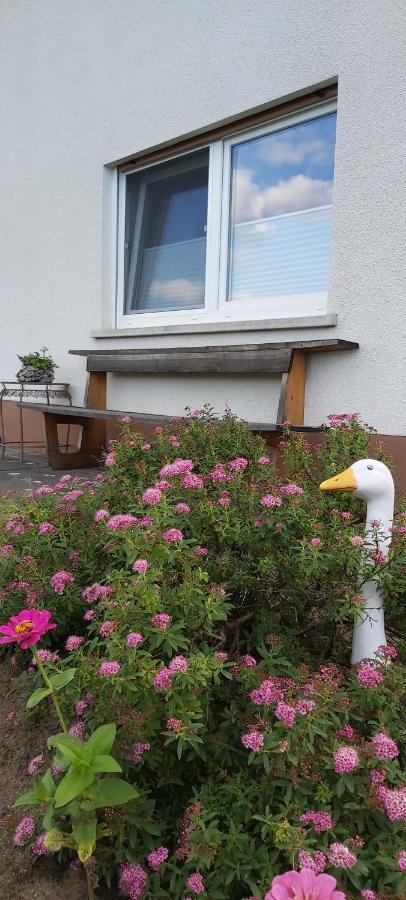 FeWo mit Wohlfühlfaktor und Ausblick Schnaittach Exterior foto