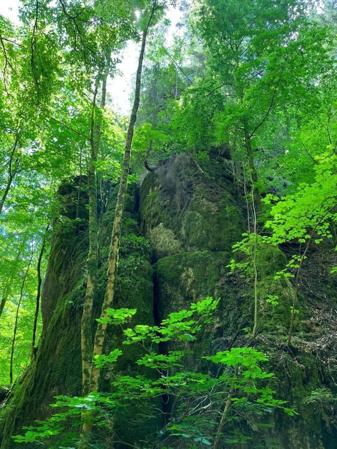 FeWo mit Wohlfühlfaktor und Ausblick Schnaittach Exterior foto